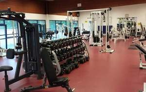 Section Musculation