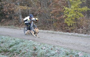 Canicross : Vincent Di Schino Champion Fédéral 2017 en Canitrottinette
