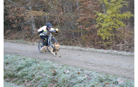 Canicross : Vincent Di Schino Champion Fédéral 2017 en Canitrottinette