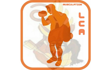 Espace Cardio tout neuf - Musculation